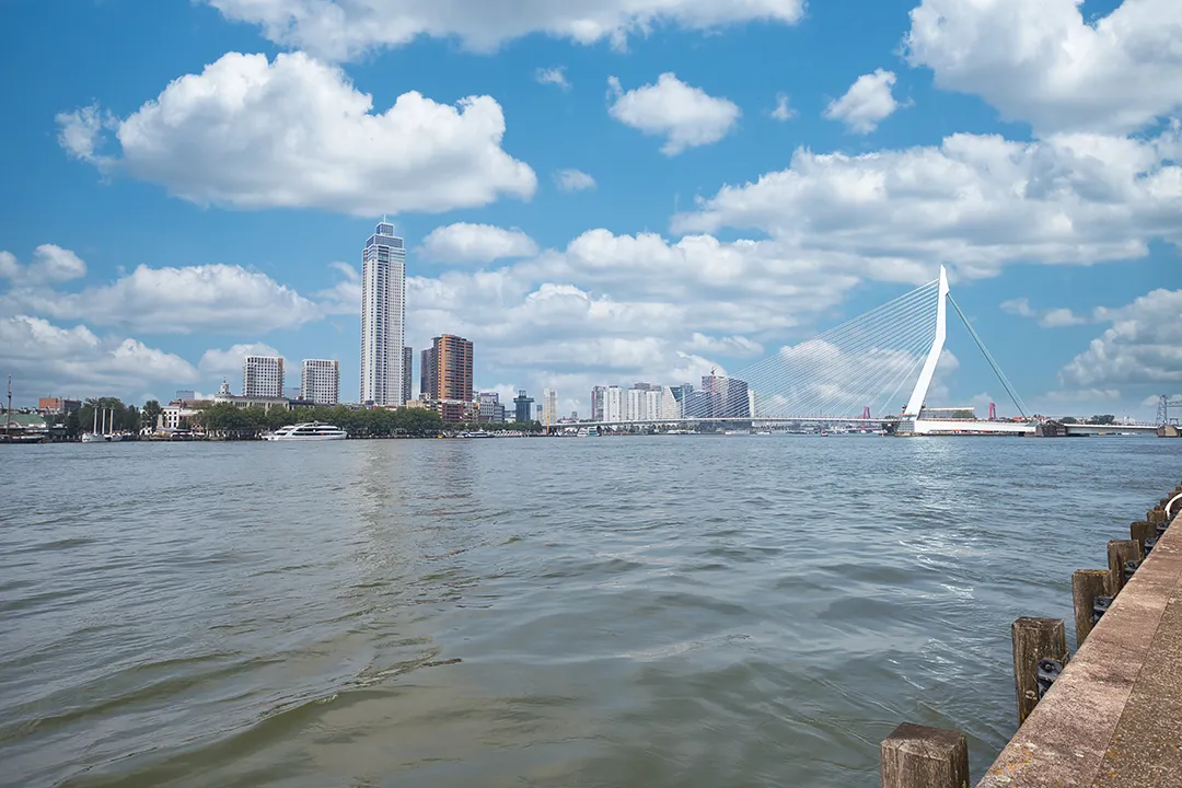 Rotterdam | Erasmusbrug 1