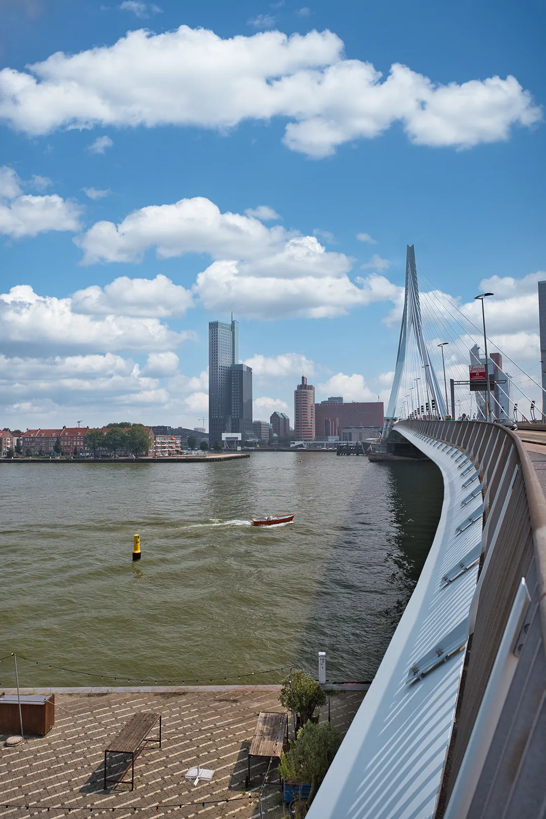 Rotterdam | Erasmusbrug 3