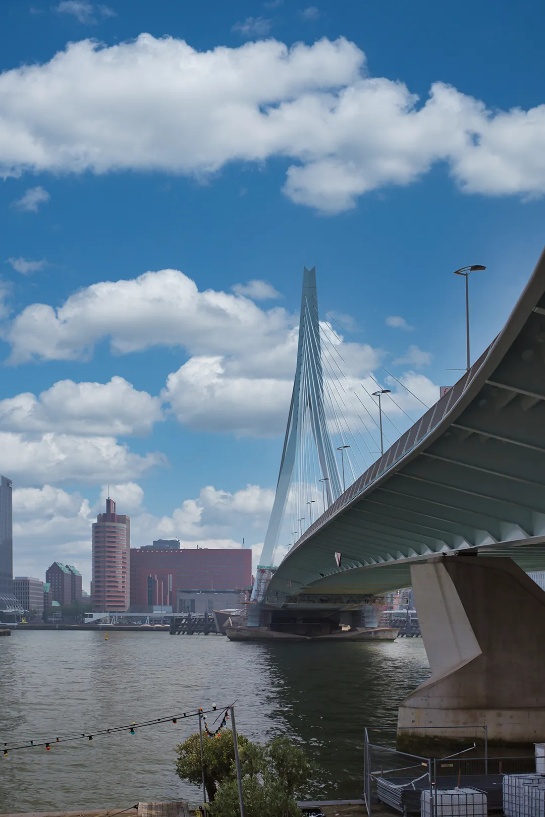 Rotterdam | Erasmusbrug 4